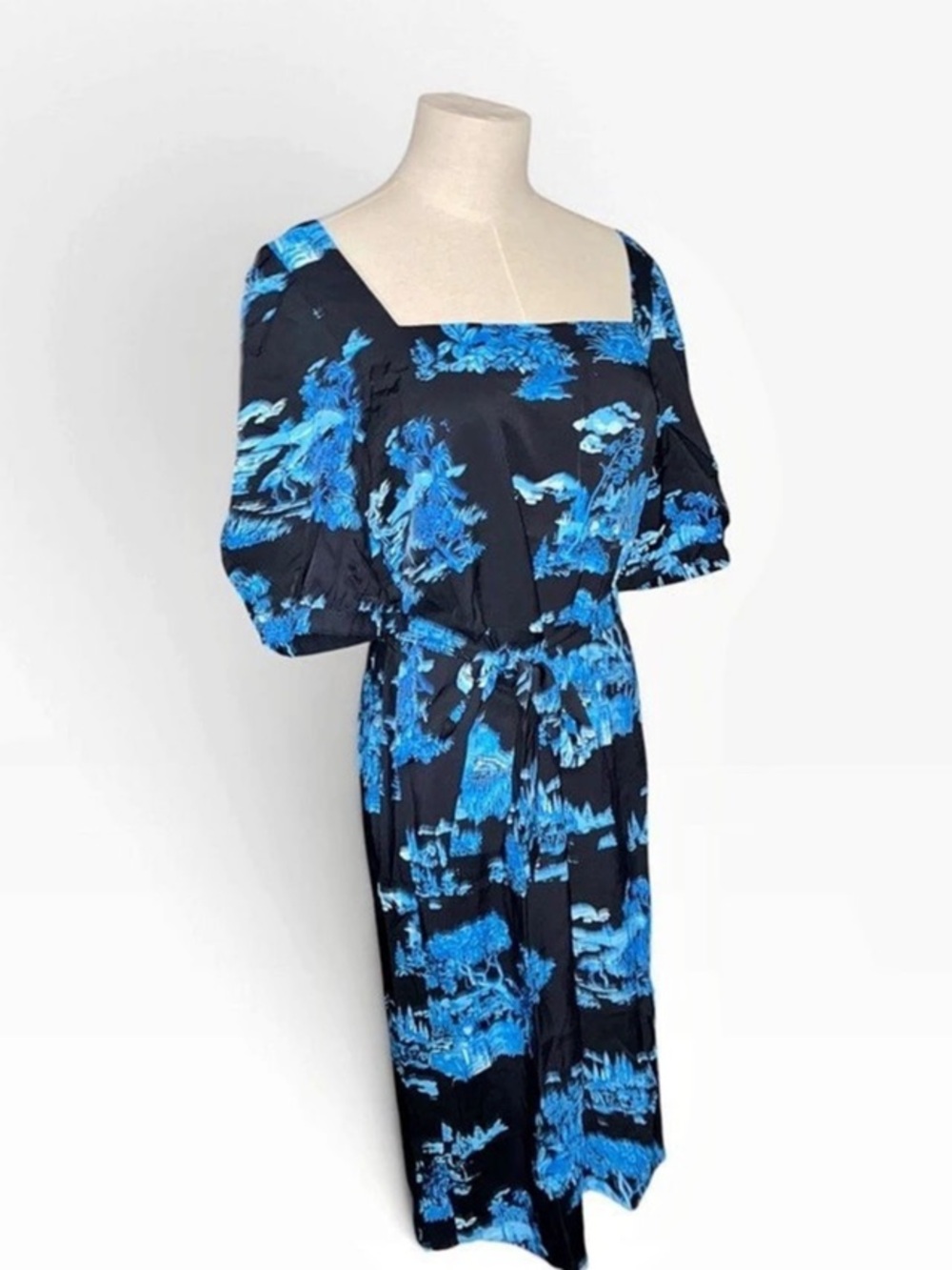 Ann Taylor Floral Midi Dress Blue & Black Size 12P NWT